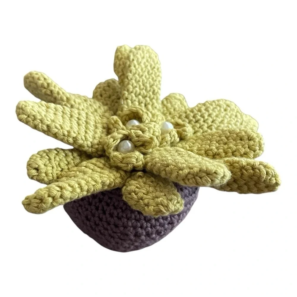 Handmade Crochet Cactus in Pot Succulent with White Faux Pearls Home Decor